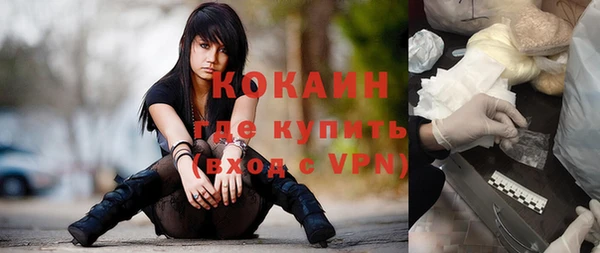 прущие грибы Касимов