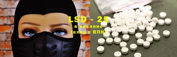 тгк Каменногорск