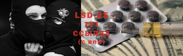 МДПВ Каменка