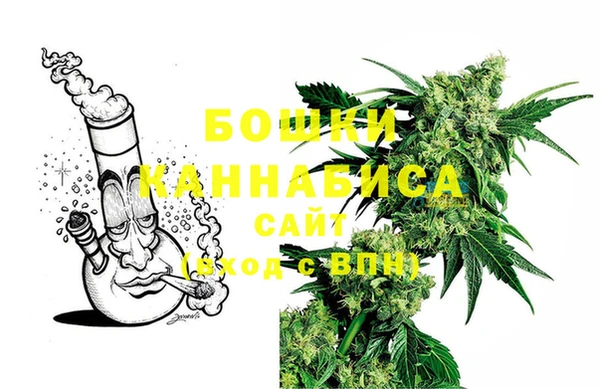 прущие грибы Касимов