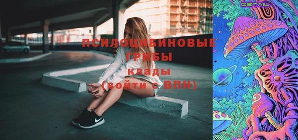 2c-b Карпинск