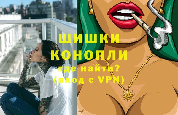 МДПВ Каменка