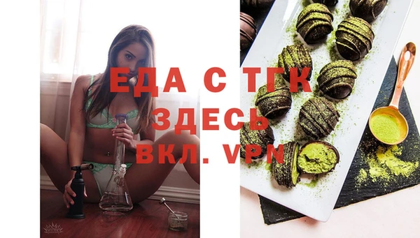 МДПВ Каменка
