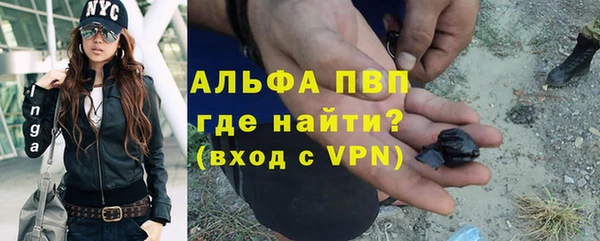 МДПВ Каменка