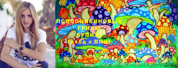 тгк Каменногорск