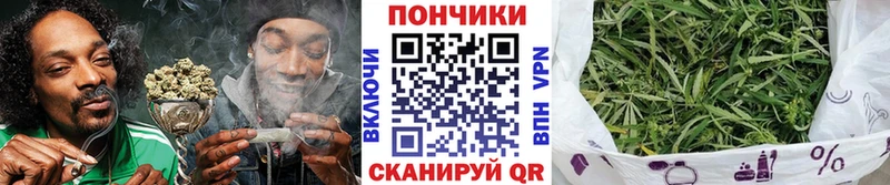 Конопля план  закладки  Горбатов 
